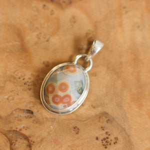 Ocean Jasper Necklace - Ocean Jasper Pendant - .925 Sterling Silver - OOAK