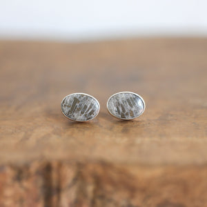 Ready to Ship - Fossilized Coral Post Earrings - Silversmith Fossil Earrings