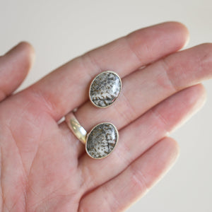 Ready to Ship - Fossilized Coral Post Earrings - Silversmith Fossil Earrings