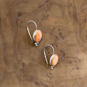 Spiny Oyster Piper Earrings - Spiny Oyster Drop Earrings - Orange Red Drop Earrings