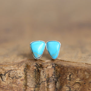 Choose your pair - Campitos Turquoise Posts - American Turquoise Earrings - Turquoise Studs