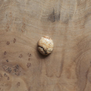 Picture Jasper Delica Ring - Picture Jasper Ring - .925 Sterling Silver - Silversmith - OOAK